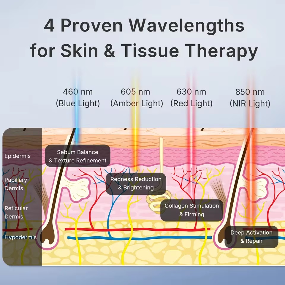 Four red light therapy wavelengths: 460, 605, 630, 850nm